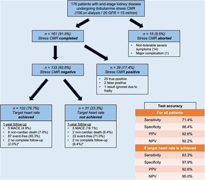 Safety, accuracy, and prediction of prognosis in patients with end-stage chronic kidney disease undergoing dobutamine stress cardiac magnetic resonance imaging